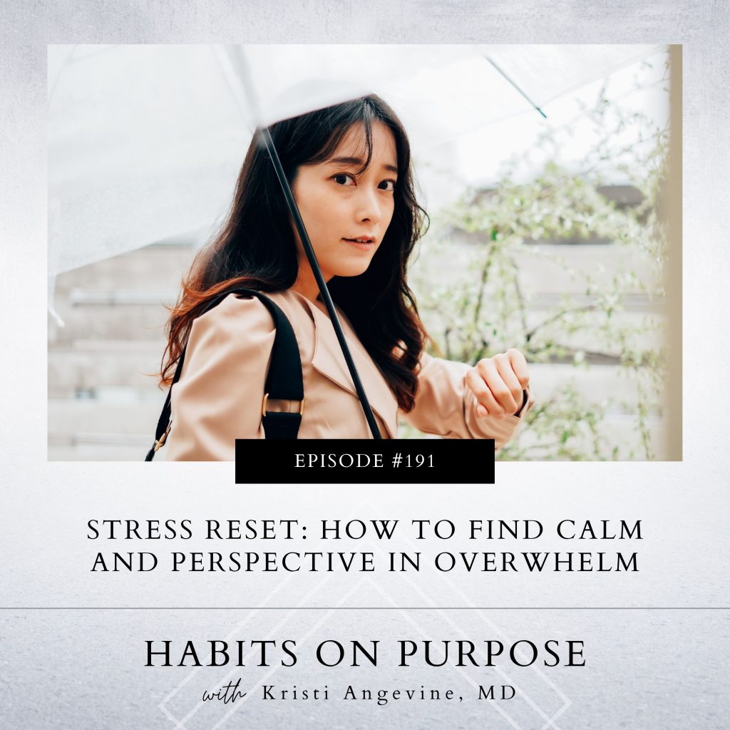 Habits on Purpose with Kristi Angevine | Stress Reset: How to Find Calm and Perspective in Overwhelm