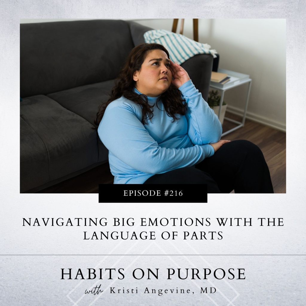 Habits on Purpose with Kristi Angevine | Navigating Big Emotions with the Language of Parts